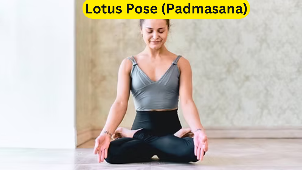 Lotus Pose (Padmasana)