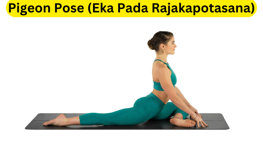 Yoga Blocks for Beginners