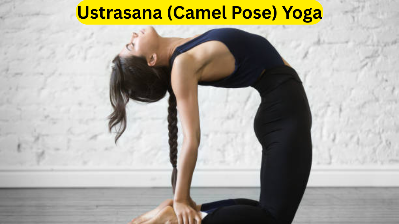 Ustrasana (Camel Pose) Yoga