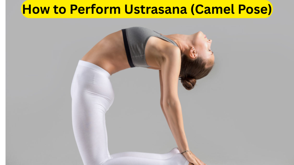 Ustrasana (Camel Pose) Yoga