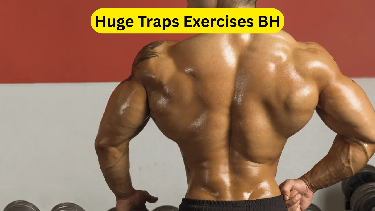 Huge Traps Exercises BH