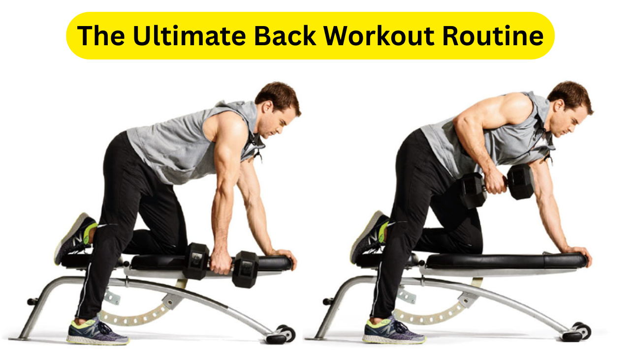 The Ultimate Back Workout Routine